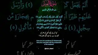 Surah Al Feel #quran #shorts