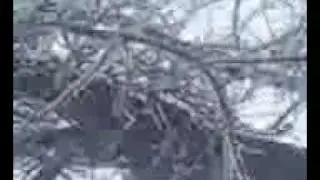 ICE ICE STORM