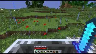 Minecraft - Rail Road Fun