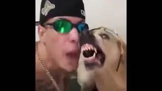 Собака Барабака