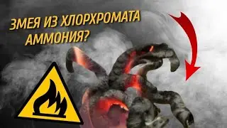 Эксперимент ФАРАОНОВА ЗМЕЯ