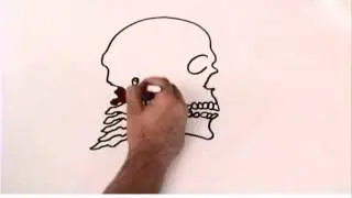 Прикус и осанка