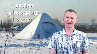 ЛЕЗВИЯ в Пирамиде РАСТУТ. Виктор Белоглазов | Pyramids
