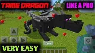 How to Tame Your Dragon in MINECRAFT