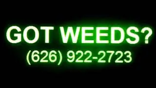 GOT WEEDS?  Barstow, CA, Weeds Removed, Weed Removal, Weed Control, Weed Abatement, Brush Removal