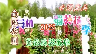 台灣真美 員林蜀葵花季