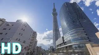 Tower of Tokyo | Travel to Tokyo | Aerial Shot of a Coliseum | Royalty Free | No Copyright Videos