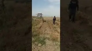 Qirgiziston mosh o'rish texnikasi, dry bean harvester.
