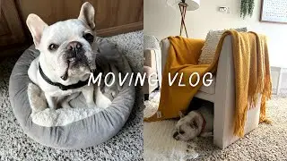 moving day + decorating