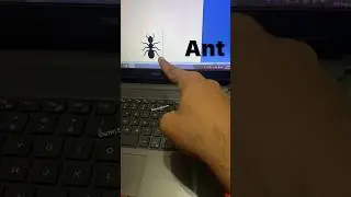 🐜 Ant Symbol Shortcut key in Ms Word 