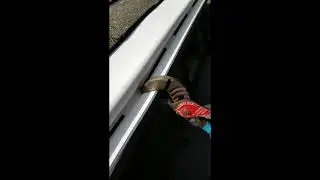 Amerimax Gutter Cover / Guard Instl; best tool