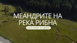 Меандрите на река Рибна / The meanders of Ribna river