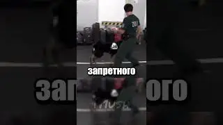 Поисковая собака