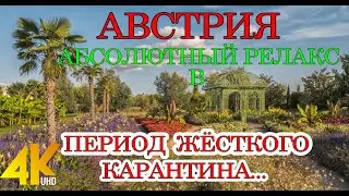 АВСТРИЯ. ВЕНА. ГДЕ ОТДОХНУТЬ ОТ ЗАПРЕТОВ...КАРАНТИНА...ДЕПРЕССИИ...