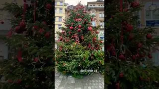Exploring Konstanz: A Scenic Getaway at the German-Swiss Border 🇩🇪#konstanz  #christmastree
