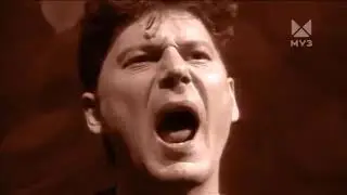 Хой ЖИВ!Все тайны 