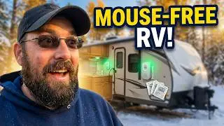 What REALLY Keeps Mice Out of Your Camper in Winter?
