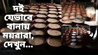বড় কোন অনুষ্ঠানে কিভাবে দই বানাবেন, ভিডিওটি না টেনে পুরাপুরি দেখুন