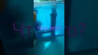 Хобби! Работа. Красиво. Стройка .