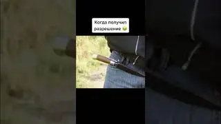 Горцы от ума