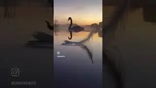 Ищущий, словно капля на белоснежном пере, которое кочует на поверхности Искомого.