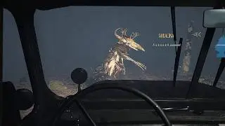 A Story About Skinwalkers