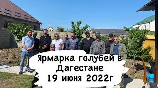 Выставка-ярмарка  голубей в Дагестане п.Манас. 