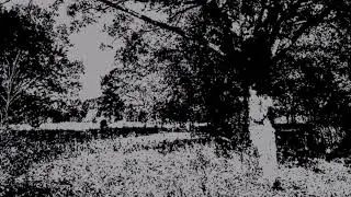 demo #10 merveist #blackmetal #metal #piano #guitarmusic #music #demo