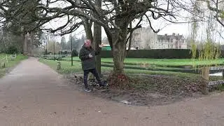 National Tree Week 2020