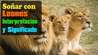 Descifrando los secretos: ¿Qué significa soñar con leones? | Revelando el simbolismo de los sueños