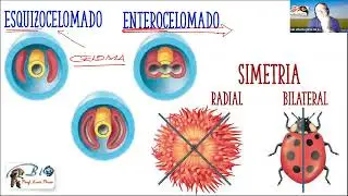 Biologia