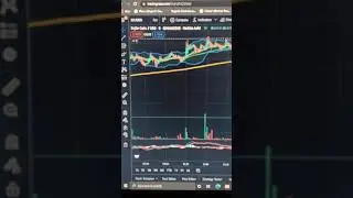 Enjin Coin ENJ Current Status 