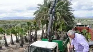 EUP Loading 30.04.2012 - Aliche_05.AVI