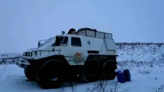 Рыбалка и охота на Чукотке, Лиса Воровка