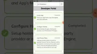 DEVELOPER PORTAL PI NETWORK