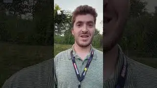 Taylor Swift-themed corn maze to open in Maryland