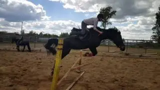 Training jumpings day