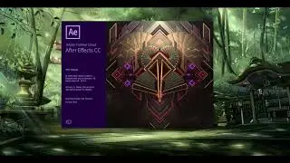 Solve ImporterMXF.prm After Effect