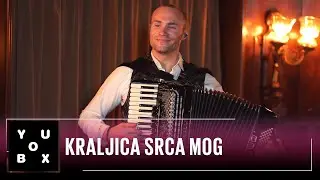 Orkestar Aleksandra Sofronijevića - KRALJICA SRCA MOG / YouBox
