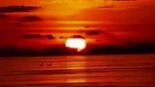 Island In The Sun - Ben Wainetti