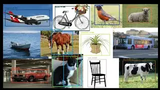Object Detection Using MobileNet SSD Single Short Detecter in Opencv with Python