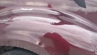 Ухоженный, чёткий ФРИДЛЕНДЕР. Дом на колесах. Грузоперевозки по России на газели.