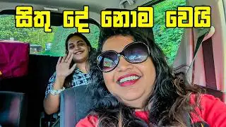 නොසිතු දෙයම වෙයි - VLOG 378