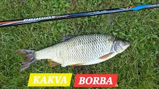 Pecanje plotice na travu. Udarila MAMARA!