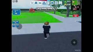 BOB