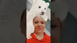 Tatlı Bir Ayıcık Minik Kalpler ve Ufak Bir Manzara