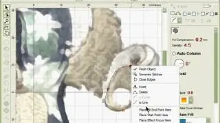 Embird Studio. 03a racoon body