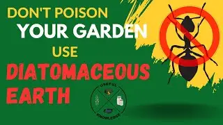 Diatomaceous Earth vs Fire Ants | Useful Knowledge