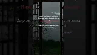 22 августа 2024 г.