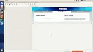 netbeans bug
